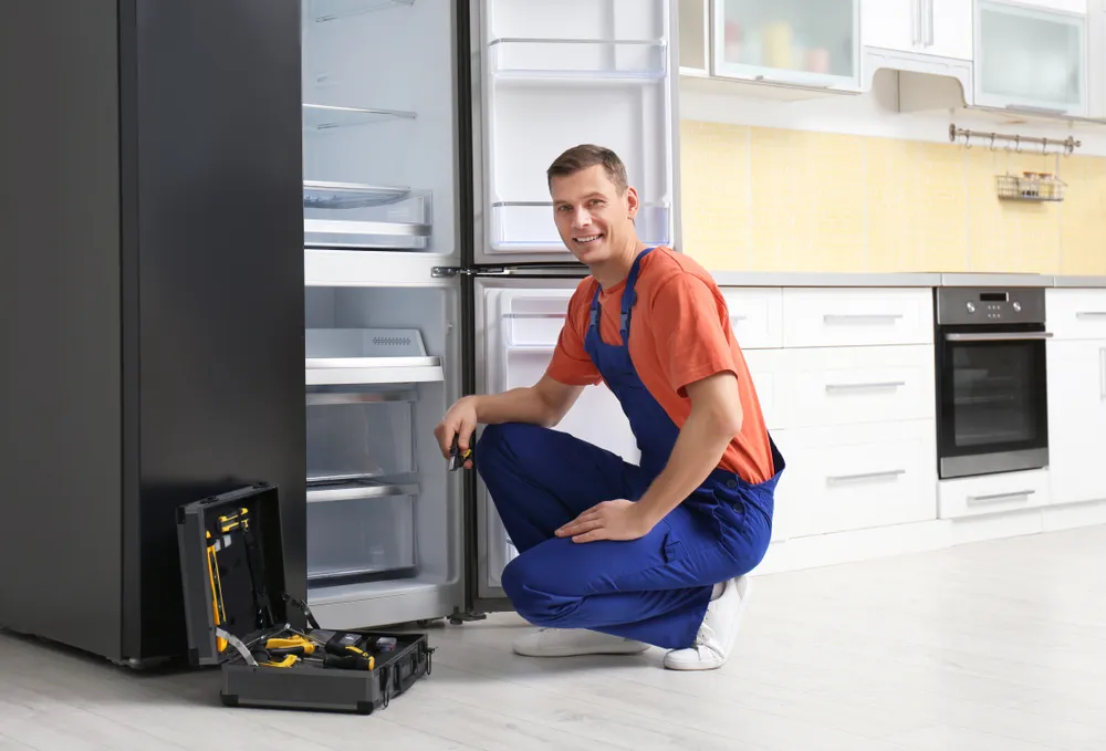 Ödemiş Daikin buzdolabı servisi teknisyen